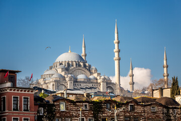 Fototapeta na wymiar Winter season in popular city of Istanbul