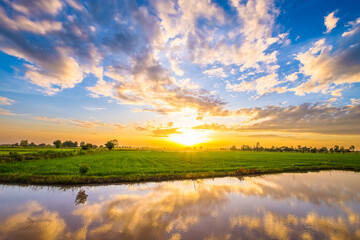 Sunset at the rice field and reflection from the water of the small canal in the farmland, countryside of Thailand