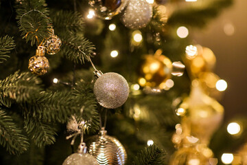 Close up view of beautiful fir branches with shiny golden bauble or ball, xmas ornaments and...