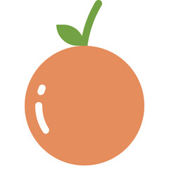 orange healthy fruit diet icon
