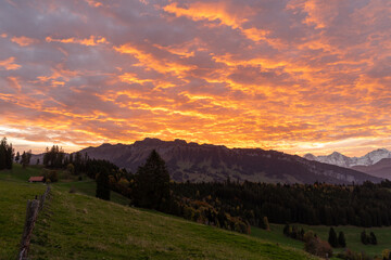 Morgenrot über dem Sigriswilergrat