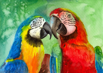 Watercolor illustration of two colorful macaw parrots, red-green and blue-yellow, sitting on a green background