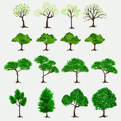 Fototapeta premium Trees illustration design bundle