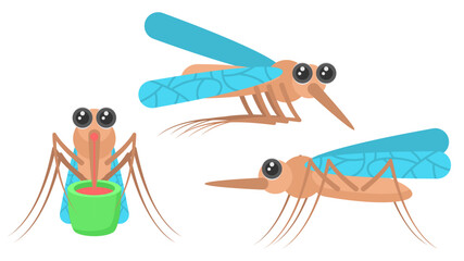 Set Abstract Collection Flat Cartoon Different Animal Insect Beetle Mosquitoes Stand, Fly Vector Design Style Elements Fauna Wildlife
