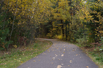 piste cyclable dans le bois avec courbe