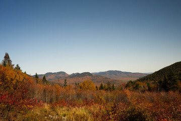 autumn in the White mountains