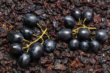 Dried black raisins in bowl with fresh organic grapes, background, selective focus