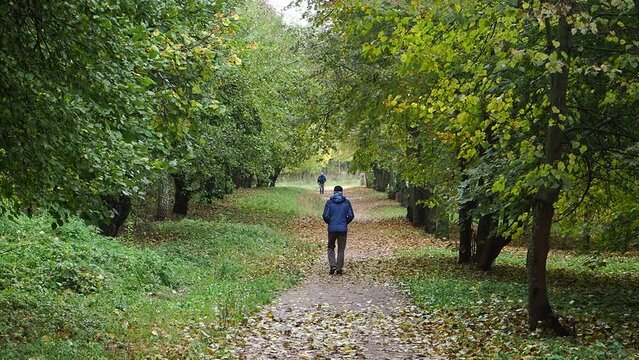 road between trees in autumn park