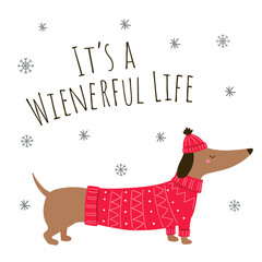 Cute dachshund with inscription- Wienerful life. Christmas characters. Cartoon dachshund in a sweater and hat. Christmas dog. Dachshund clothes. Vector illustration. Isolated on white background. 