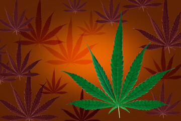 purpl background cannabis leaves, copy space.