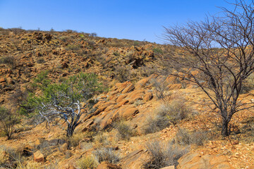 African savannah during a hot day. Oanob, Namibia.