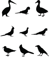 set of silhouettes of birds premium png
