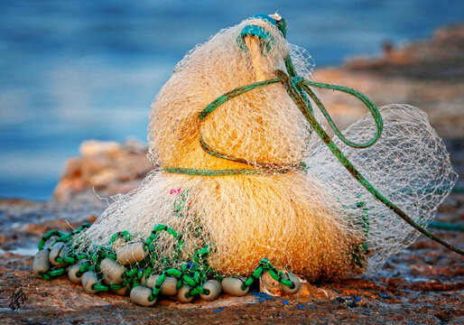 Imagens de Neith Explore Fotografias do Stock, Vetores e Vídeos de