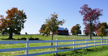 landscape with trees and red barn