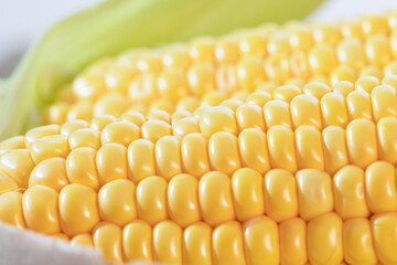 Corn on the cob bathed in sunlight.