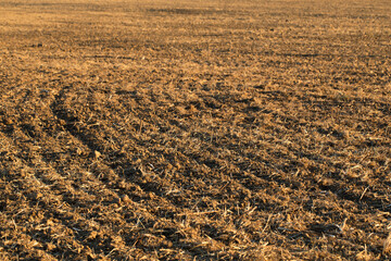 Plowed agricultural field. dry soil.