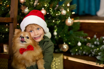 Happy boy in a red hat with a German Spitz dog in his arms on the background of a Christmas tree. Concept of celebrating Christmas and New Year.