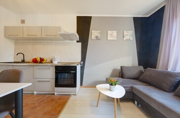 Salon pokój z kanapą w małym mieszkaniu kawalerce