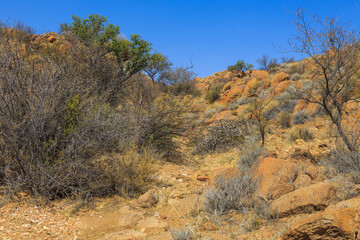 African savannah during a hot day. Oanob, Namibia.