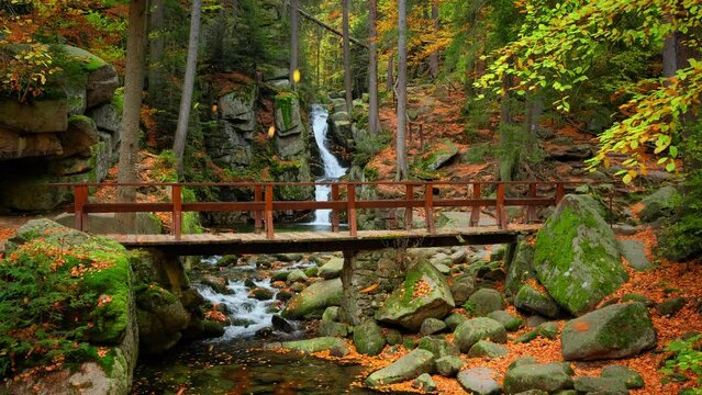 Nature landscape. Waterfall. Beautiful fall mountain wild Forest waterfall with green moss covered stones. Forest autumn landscape. Scenery of nature. Video 4k
