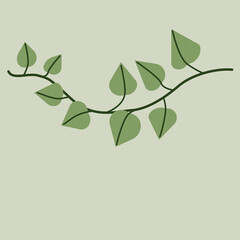 Simplicity ivy drawing flat design.