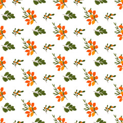 A pattern with bouquets of autumn leaves on a white background. Sea buckthorn berries. Vector. For brochures, booklets, prints and fabrics, packaging materials.