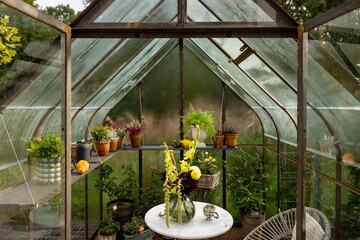 Beautiful orangery made of rusty metal and glass with flowers inside. Lush bouquet in vase on the table. Growing plants in greenhouse in garden