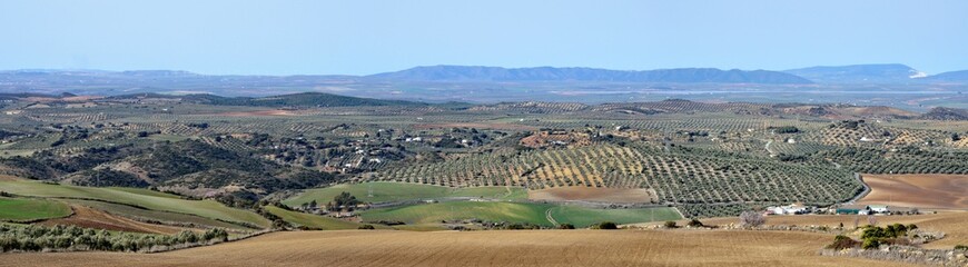 Fototapeta na wymiar Panorama del valle de Antequera, Málaga, Andalucía, España
