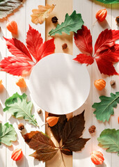 Autumn composition with a round frame, bright fallen tree leaves and physalis flowers. Red, yellow, green leaves are on a white wooden background. Autumn, fall, thanksgiving day concept. Copy space.