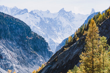 alpine landscape with beautiful autumn colors