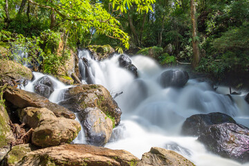 waterfall in the forest