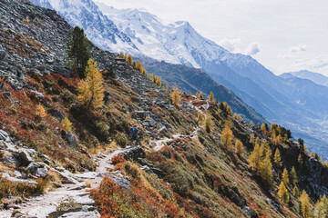 long trail in autumn mountain landscape