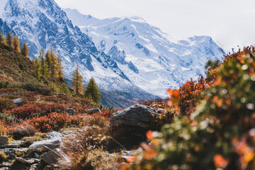 autumn red bushes with glacier in background