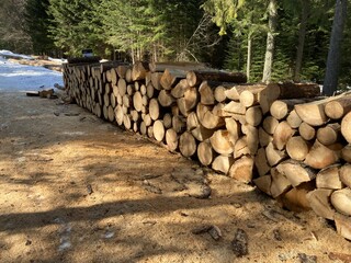 Wooden stack in the forest. Woods on the forest path with trees. Wooden pile. Closeup of woods....