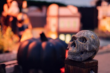 Naklejka na ściany i meble Halloween decoration with pumpkin and skull