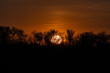 The Sun goes down under the horizon and hides behind the trees. Sunset photographed through a telephoto lens