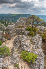 The city of stones, within Grands Causses Regional Natural Park, listed natural site with Dourbie Gorges at bottom.