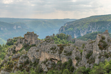 Fototapeta na wymiar The city of stones, within Grands Causses Regional Natural Park, listed natural site with Dourbie Gorges at bottom.