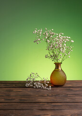 gypsophila flowers in vase on green background