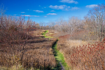 Fall Footpath in the field