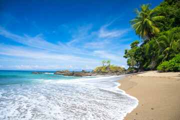 Cano Beach with coconut trees