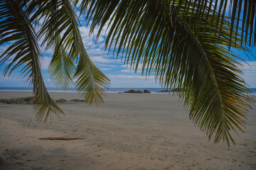 A Glimpse pf Playa Grande