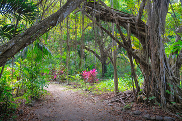 Nature Paints Montezuma 
