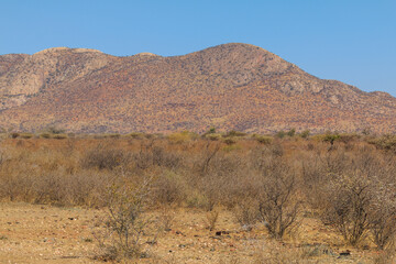 African savannah during a hot day. Oanob, Namibia.