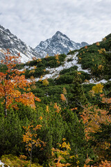 Autumn scene in Temnosmrecinska valley, High Tatras mountain, Slovakia