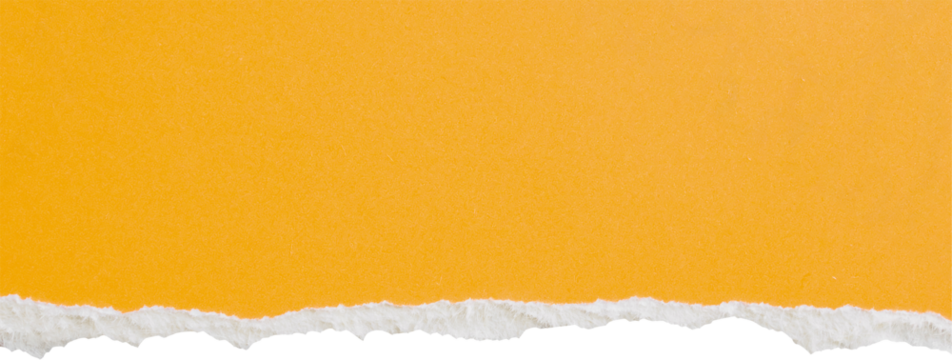Yellow ripped paper torn edges strips isolated on white background