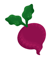 radish vegetable icon