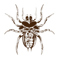 bug nature icon