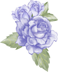 bouquet of purple blue roses