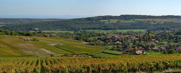 Naklejka premium Village et vignes en Bourgogne du sud.